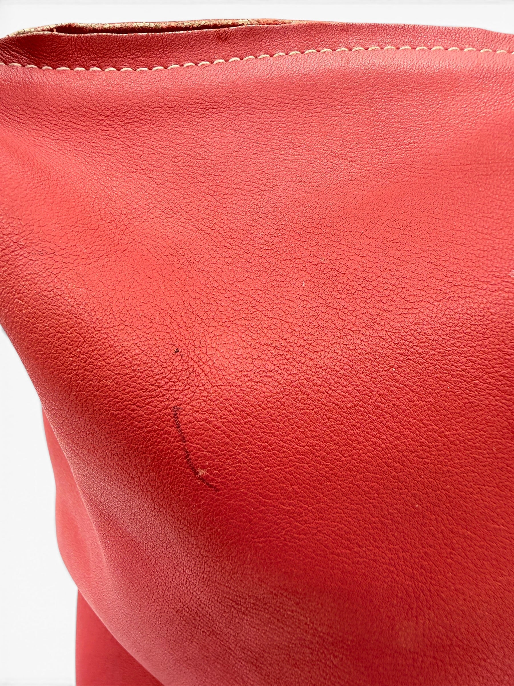 Loewe Coral Nappa Leather Shoulder Bag with Matching Zip Pouch