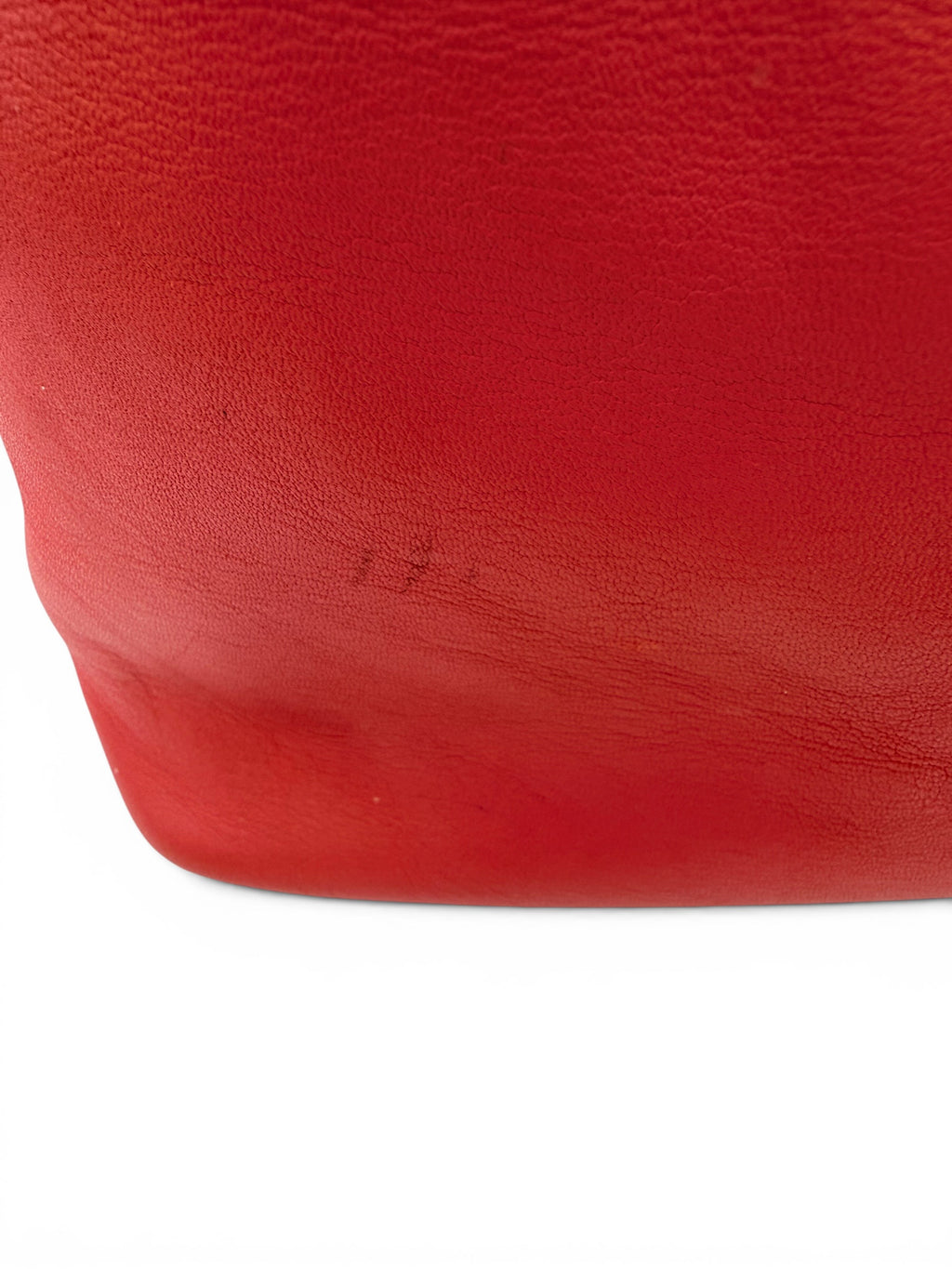 Loewe Coral Nappa Leather Shoulder Bag with Matching Zip Pouch