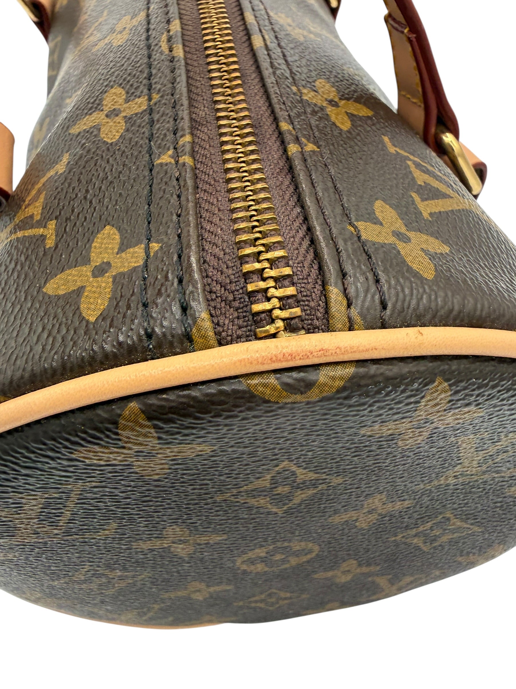 Louis Vouitton Monogram Papillon Barrel Bag Brown